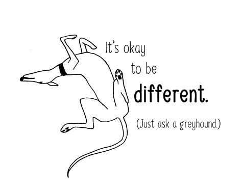 Greyhounds They Certainly Are Different And We Love Them For It