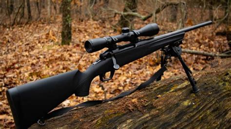 Best Scope For An Ar 15 For Coyote Hunting American Gun Association