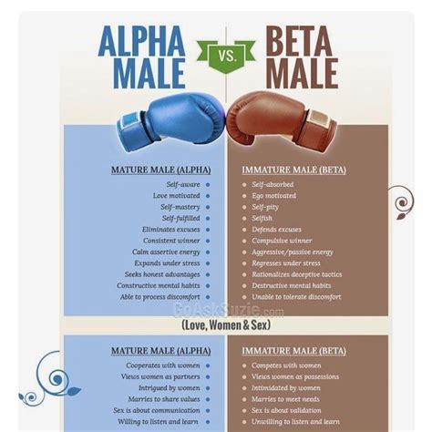 Alpha Male Vs Beta Male Male Dating Relationships Self Improvement