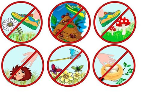 Знаки охраны природы для детей в картинках 30 картинок