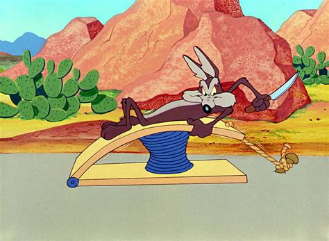 Ryan S Blog Wile E Coyote And Road Runner Pictures