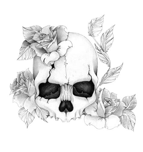 Skullnroses By Skrzynia Skull Art Drawing Skulls Drawing Skull