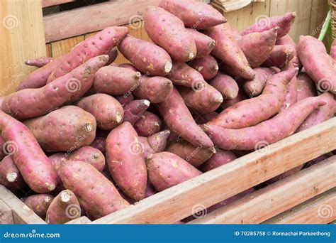 Sweet Potato In Fruit Basket Stock Photo Image Of Healthy Vitamins
