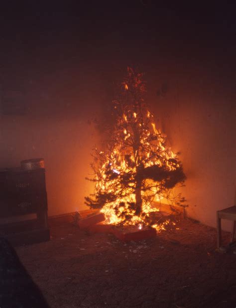 Fire Safety Measures For The Christmas Tree Northants Fire