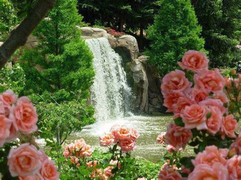Waterfall Waterfall Garden Waterfall Beautiful Flowers