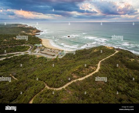 Aerial View Of Sorrento Ocean Beach And Beautiful Coastline At Sunset