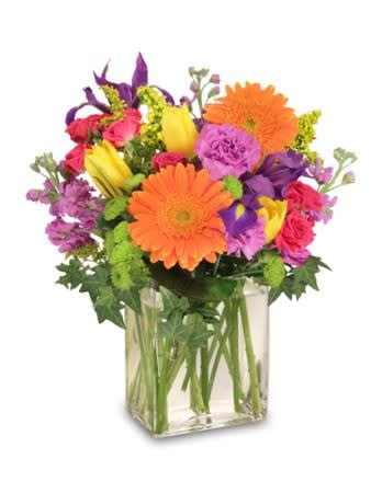 Online around the corner or around the world; Celebrate The Day! in St Louis, MO | Rileys Florist
