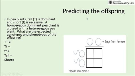 Ioritz lezealde | last updated: Unit 6 Crash Course Punnett Squares - YouTube