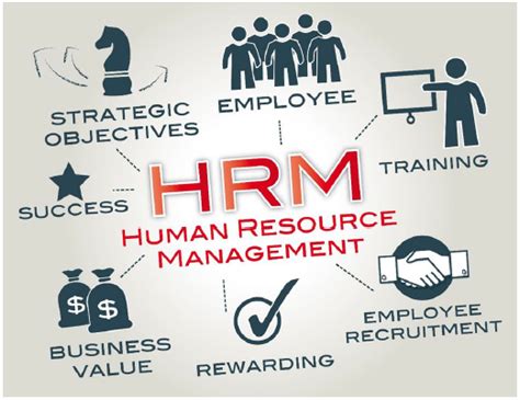 Beginners Guide To Strategic Human Resource Management Pim Karachi