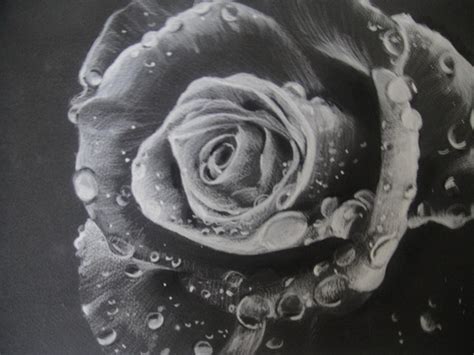 10 Beautiful Rose Drawings For Inspiration Hative