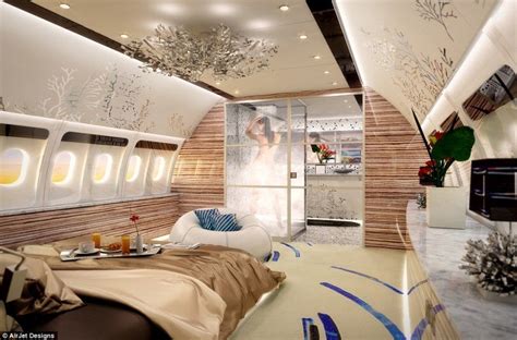 The private jet is complete with a living room decked out entirely in leather. How Much Does It Cost to Customize a Private Jet ...