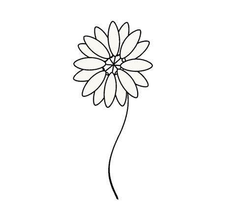 The daisy are quite easy to draw. How to Draw a Daisy | Easy Drawing Guides