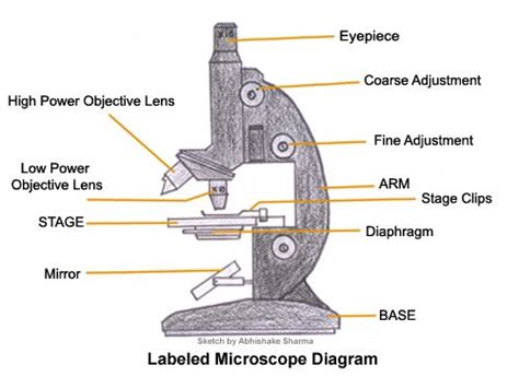 Each bathing room of an addition must comply as would be required in new construction. Parts of a Microscope | Kid, Biology and The o'jays