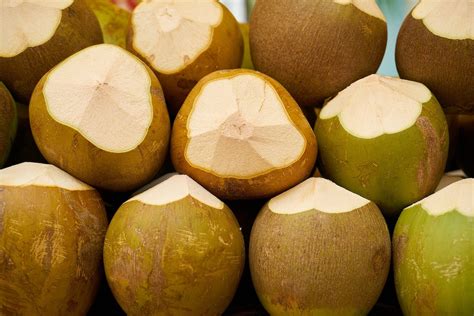 6 Awesome Facts About Coconuts Fruitwerkz