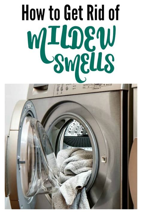 What can i use to rid my living room of a musty odor? Get Rid of Mildew Smells in the Laundry: 3 Easy Solutions ...