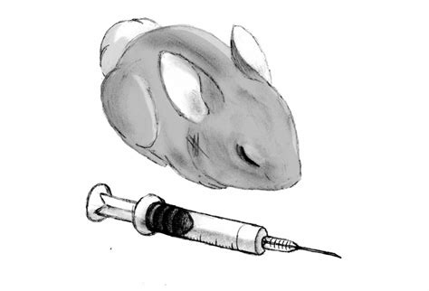 Animal testing is abuse – The Hawkeye