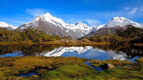 The colony mainly comprises juvenile males, which spend their time here building up condition before moving to breeding colonies. New Zealand Internship | Intern in New Zealand | TEAN Abroad