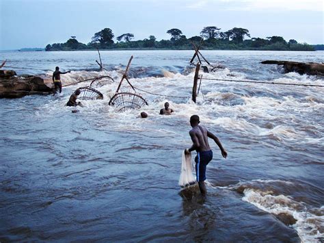 Congo River Pulses Life Into African Nation Wbur News
