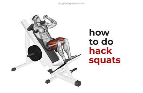 Reverse Hack Squat Machine