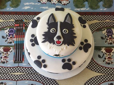 Border Collie Cakes Birthday Desserts Kids Animals Tailgate