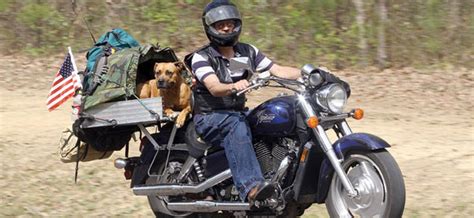 This manufacturer makes dog car seats that give your dog a safe ride with a view of the outside. Kickstand Up! - Discover St. Clair