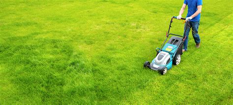 What Is Included In Lawn Care Services