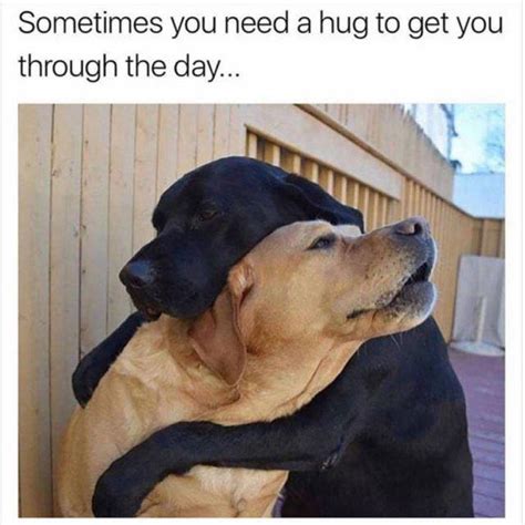 Everybody Needs A Hug Rwholesomememes Wholesome Memes Know