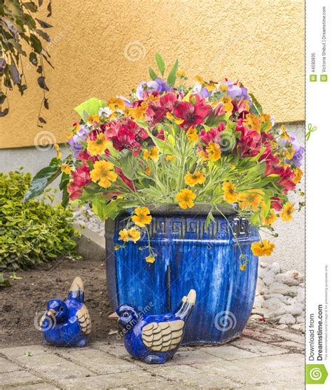 Freesia Flowers In Blue Pot In Garden Stock Image Image