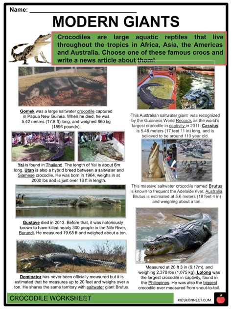 Crocodile Facts Worksheets Species And Habitat Information For Kids