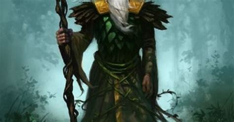 Arch Druid Npcs Male Pinterest Forests Arch And Rpg