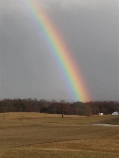 Nikki-Dee Ray - Overton County 📷: Jeffery Norrod