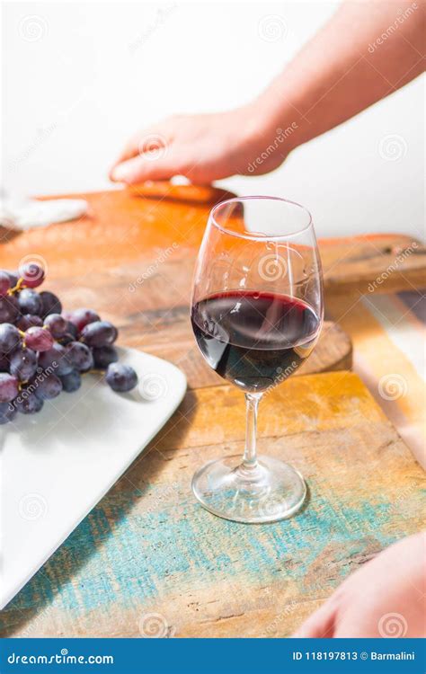 Professional Red Wine Tasting Event With High Quality Wine Glass Stock Image Image Of Event
