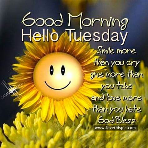 New users enjoy 60% off. Good Morning, Hello Tuesday | Hello tuesday, Good morning ...