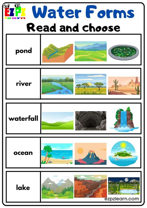 Water Forms Read And Choose Activity Free Pdf Download