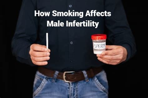How Smoking Affects Male Infertility Urolife Clinic Pune