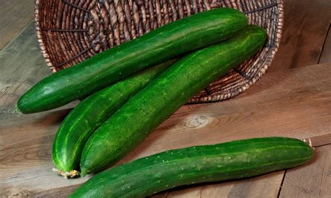 Tasty Green Cucumber Organic Seedway