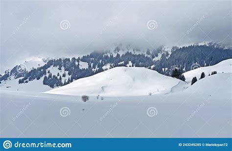 Fresh Snow On The Alpine Pastures Around Lake GrÃ¤ppelensee