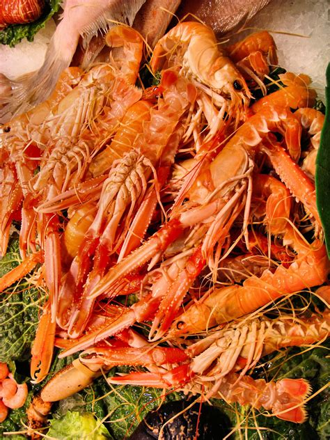 Spanish Shrimp On Ice At La Boqueria Market In Barcelona Spain