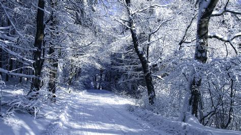Download 1920x1080 Hd Wallpaper Road Snow Frost Forest Winter Desktop