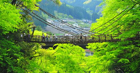 Tokushima Living On The Edge Of The Mountains Deep In Nature How To