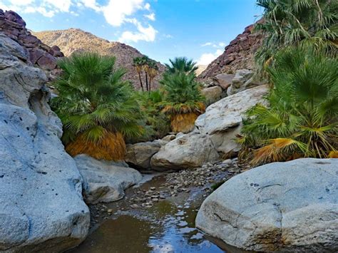 Anza Borrego Desert State Park In Borrego Springs Ca Things To Do