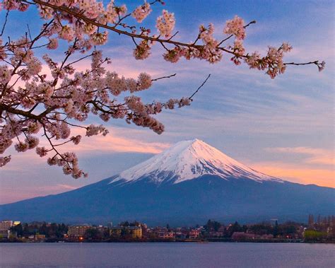 Mount Fuji Wallpapers Wallpaper Cave