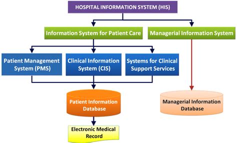 Patient Care And E Healthcare Information System Clinical Information