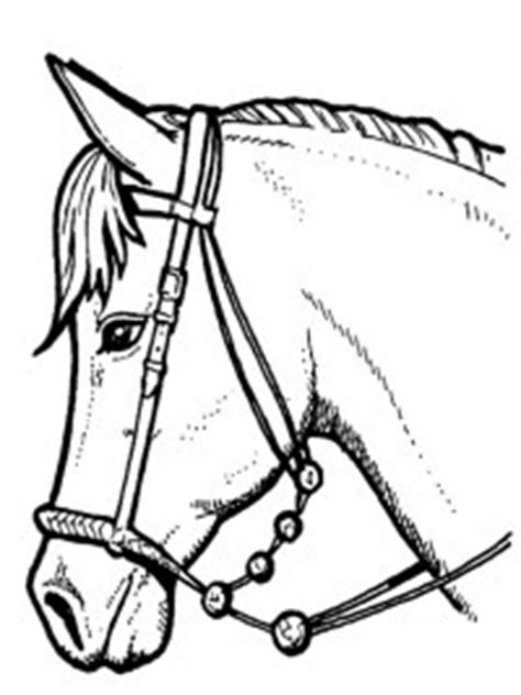 Kleurplaat paardenhoofd met hoefijzer from www.omnilabo.nl. 30+ Kleurplaten paarden (tip!) - gratis te printen ...