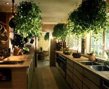 It is always a good idea to place the kitchen nearer to the back door. Why Feng Shui Design Really Works - 2021 Average Cost to ...