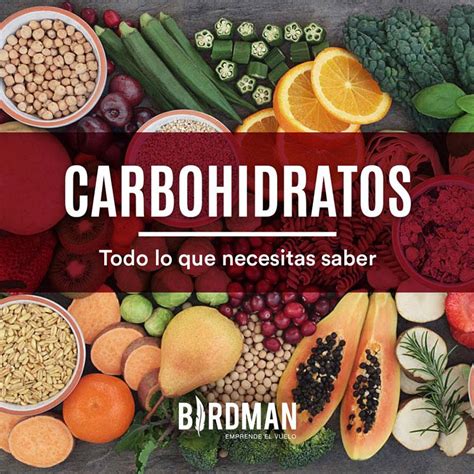 Carbohidratos Sus Tipos Propiedades Y Composición Birdman Blog