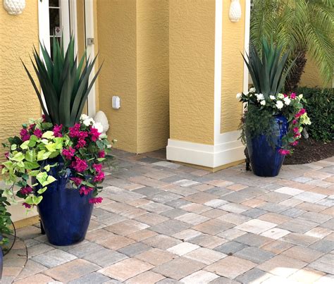A Closer Look At The Florida Entryway Plantings These Arrangements Can