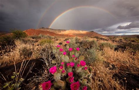 Desert Rainbow Rj Hooper Photography