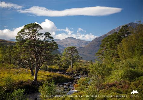 Glen Torridon Wilderness Wester Ross Scotland Landscape