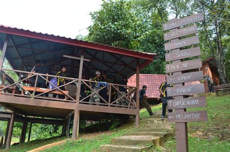 Taman negara national park a novel journey on the path more travelled. Royal Belum, Perak: THE CHALET